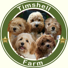 Timshell Farm Specialty Crossbreeds